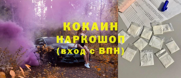 гидра Новокубанск