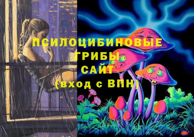 Галлюциногенные грибы Psilocybine cubensis  Ревда 