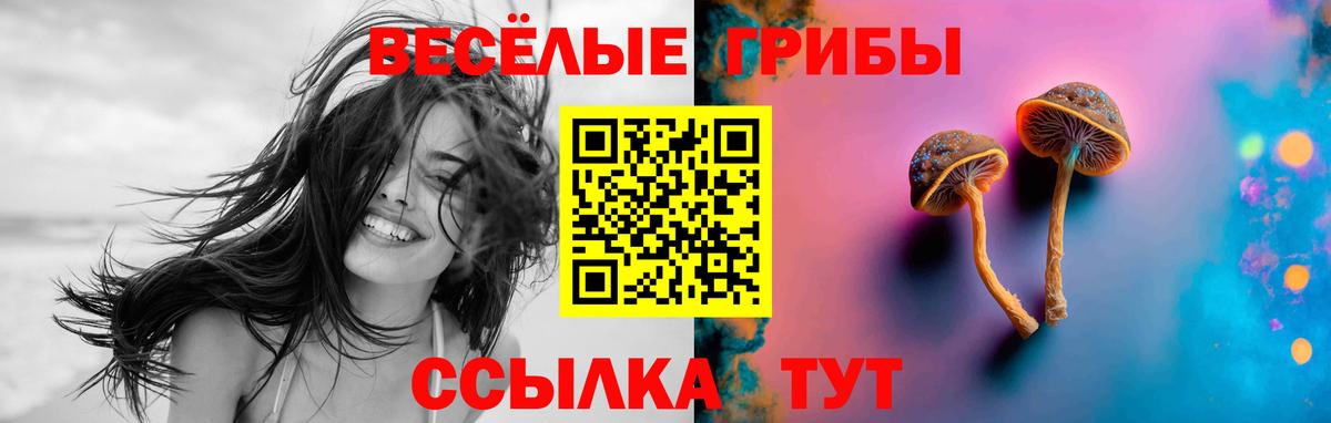 Галлюциногенные грибы прущие грибы  Галлюциногенные грибы Cubensis  Вход с VPN  наркота  Ревда 
